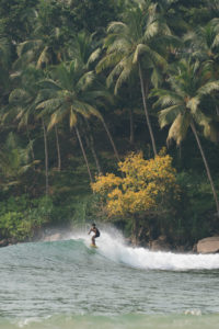 surfer-mirissa-sri-lanka