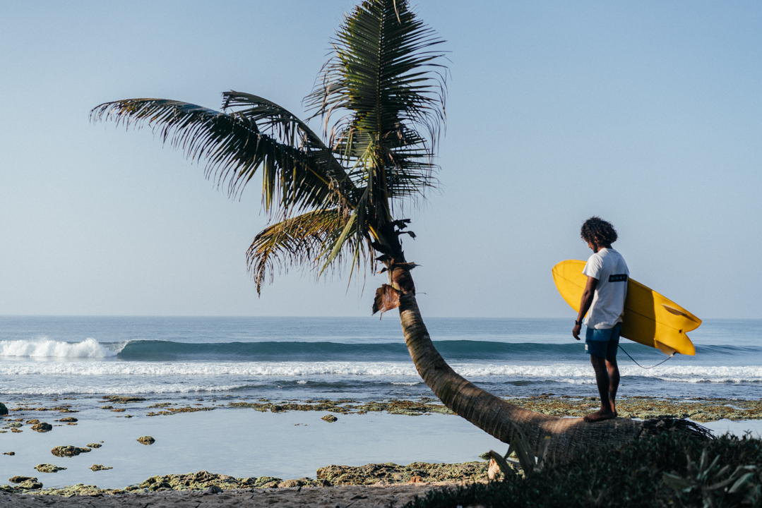 A day down south | Ceylon Sliders